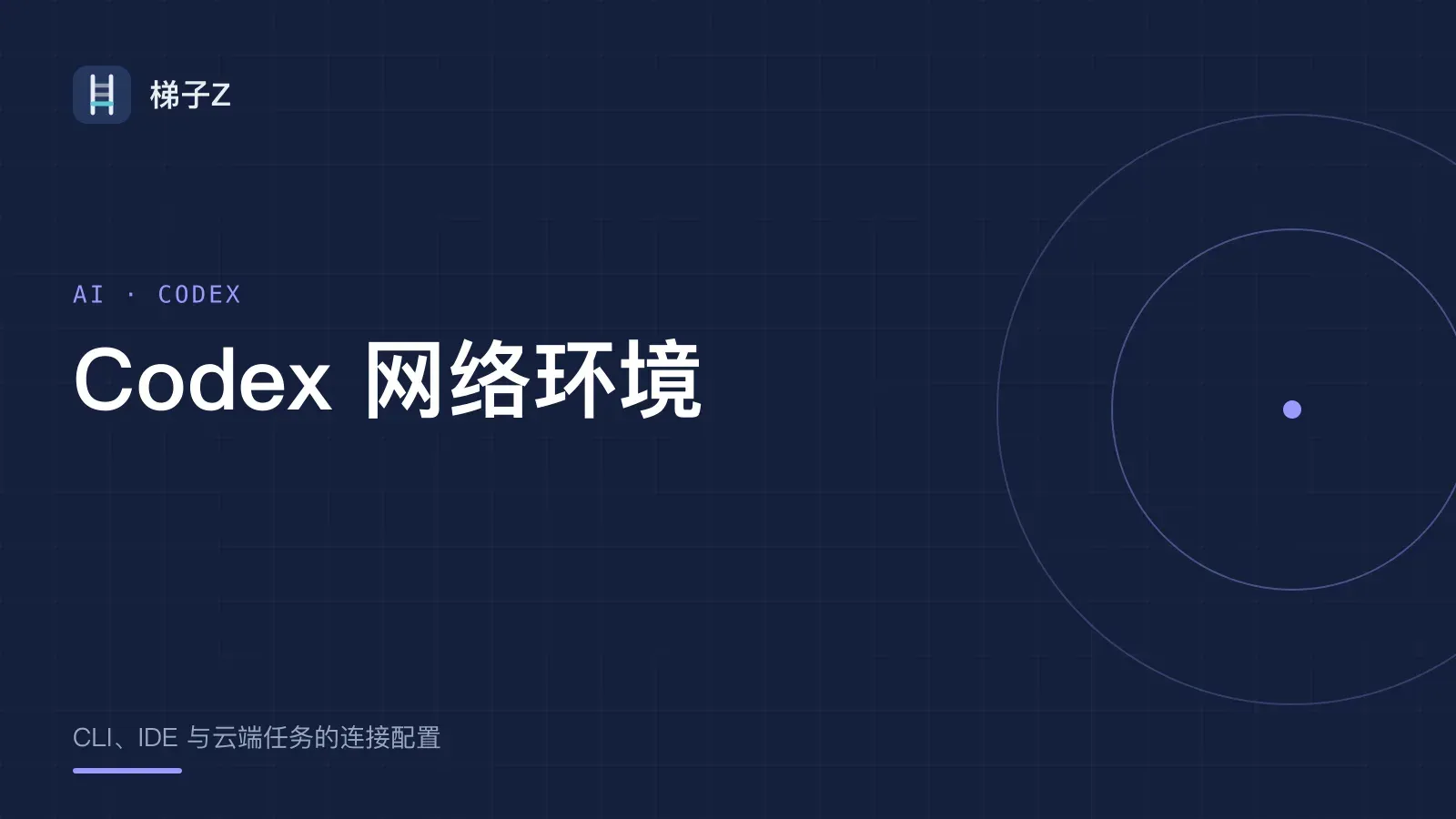Codex 网络环境指南:CLI、IDE 与云端任务连接配置
